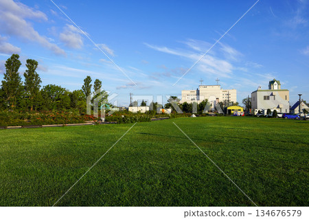 Haboro Rose Garden and Centennial Memorial Square (Haburo Town, Hokkaido) 134676579