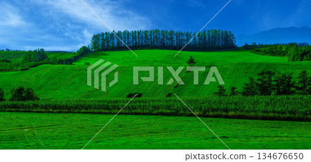 beautiful hill scenery 134676650