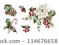 Winter floral arrangements set. Poinsettia flower Holly berry Eucalyptus Pine Cone. Watercolor hand drawn isolated illustration on white background for Christmas New Year design cards holiday print 134676658