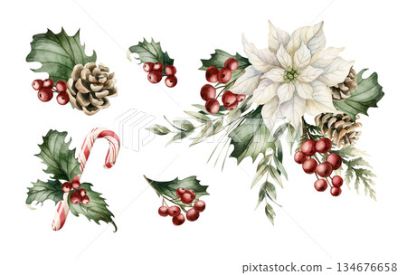 Winter floral arrangements set. Poinsettia flower Holly berry Eucalyptus Pine Cone. Watercolor hand drawn isolated illustration on white background for Christmas New Year design cards holiday print 134676658