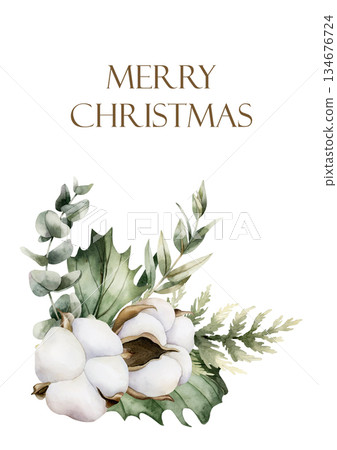 Cotton with Eucalyptus and Holly berry leaves greeting card. Winter arrangement. Watercolor hand drawn isolated illustration on white background for Christmas design holiday print cozy home textile 134676724