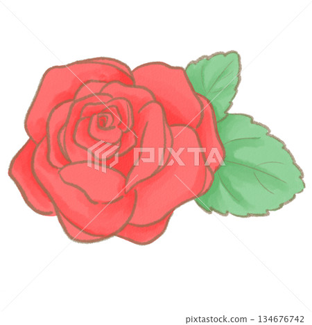 Illustration of a red rose Illustration of a red rose 134676742