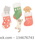 Illustration of a dog and cat hanging from and hiding in a Christmas stocking 134676743