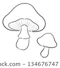 Simple mushroom line drawing illustration 134676747