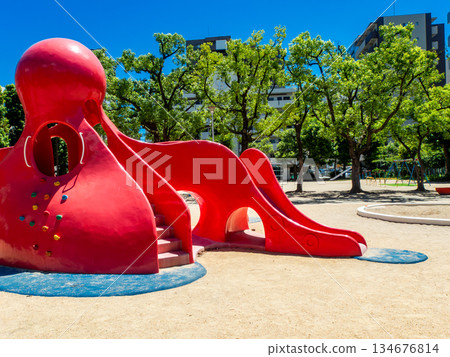 A fun park with an octopus slide 134676814