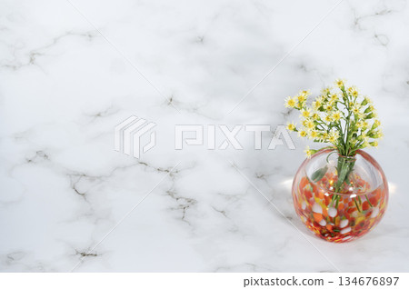 暖色調玻璃花瓶中的金光菊（右圖） 134676897