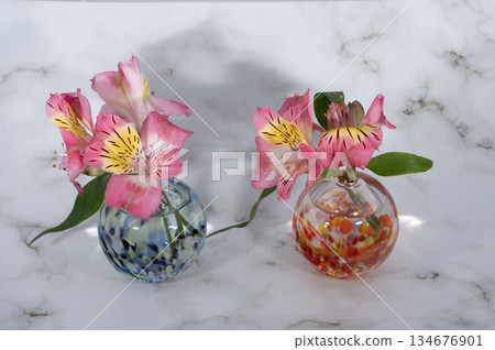 Two pink alstroemeria flowers in a glass vase 134676901