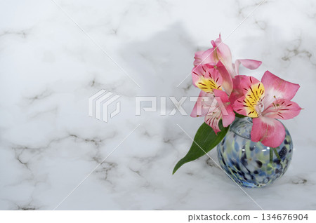 冷色玻璃花瓶中的六出花（右圖） 134676904