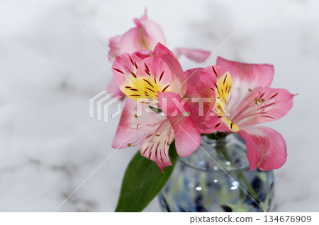 玻璃花瓶中六出花正確排列的特寫鏡頭 玻璃花瓶中六出花正確排列的特寫鏡頭 134676909