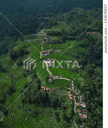Elevated View Showing Winding Paths And Lush Layered Fields On Hillside Elevated View Showing Winding Paths And Lush Layered Fields On Hillside 134676937