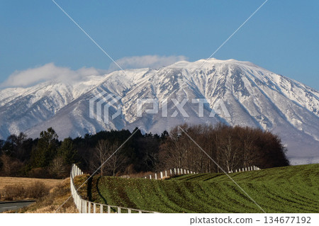 小岩井農場的農場道路延伸至岩手山。這條農場道路是宮澤賢治最喜歡的地方之一，他曾多次造訪。 134677192