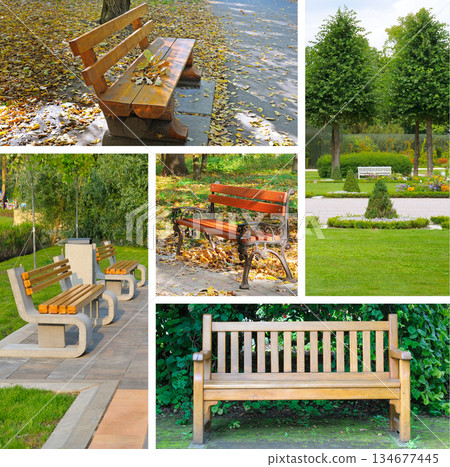 Different styles of park benches set in lush green landscapes and autumn scenery. 134677445