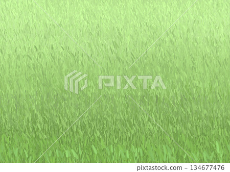Catnip Grassland Green Catnip Grassland Green 134677476