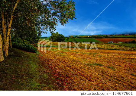 Beautiful countryside scenery 134677601