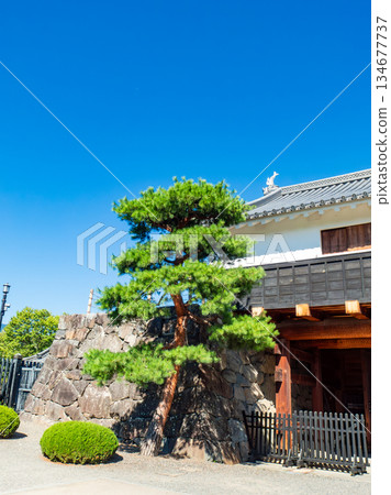 Refreshing summer scenery of Matsumoto Castle: The imposing Taikomon Gate 134677737
