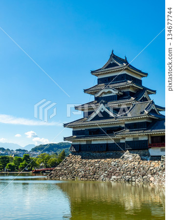 松本城清爽的夏日景色:護城河與城牆 松本城清爽的夏日景色:護城河與城牆 134677744
