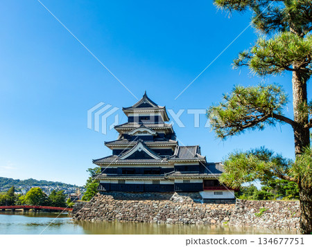 松本城清爽的夏日景色：護城河與城牆 134677751