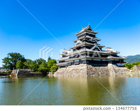 松本城清爽的夏日景色：護城河與城牆 134677758