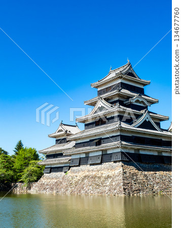 松本城清爽的夏日景色：護城河與城牆 134677760