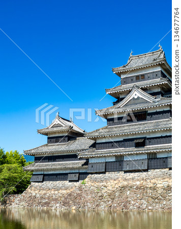 松本城清爽的夏日景色:護城河與城牆 松本城清爽的夏日景色:護城河與城牆 134677764