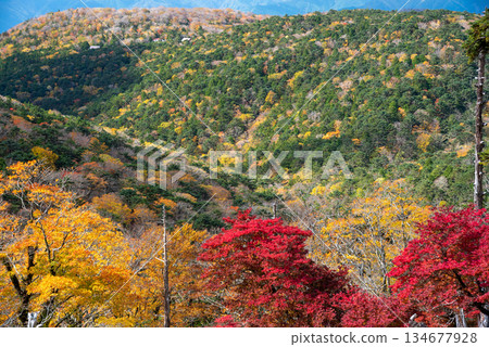 Scenery of Odaigahara, Nara Prefecture and Mie Prefecture Scenery of Odaigahara, Nara Prefecture and Mie Prefecture 134677928