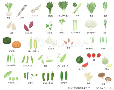 Specific vegetable illustration set (colored pencil drawing) 134678005