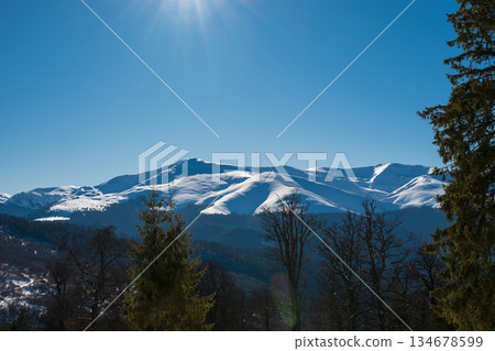 Sunny winter mountain landscape with snow-covered peaks, evergreen forest and clear blue sky, showcasing pristine alpine nature, cold season scenery and peaceful wilderness environment Sunny winter mountain landscape with snow-covered peaks, evergreen forest and clear blue sky, showcasing pristine alpine nature, cold season scenery and peaceful wilderness environment 134678599