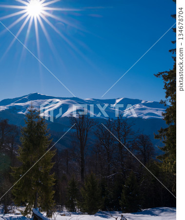 Sunny winter mountain landscape with snow-covered peaks, evergreen forest and clear blue sky, showcasing pristine alpine nature, cold season scenery and peaceful wilderness environment Sunny winter mountain landscape with snow-covered peaks, evergreen forest and clear blue sky, showcasing pristine alpine nature, cold season scenery and peaceful wilderness environment 134678704