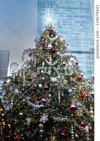 與聖誕樹的風景 134679841