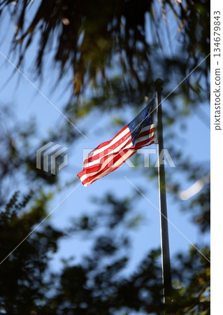 旗幟在風中飄揚 134679843