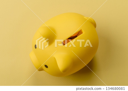 A piggy bank as a concept for storing, accumulating, and saving financial resources. A piggy bank 134680081