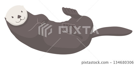 Cute illustration of a sea otter lying on its back Cute illustration of a sea otter lying on its back 134680306