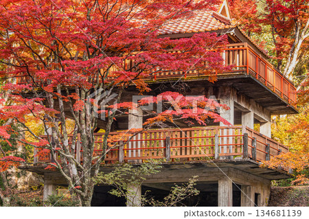 豐田市（愛知縣）大井平公園的景色 134681139