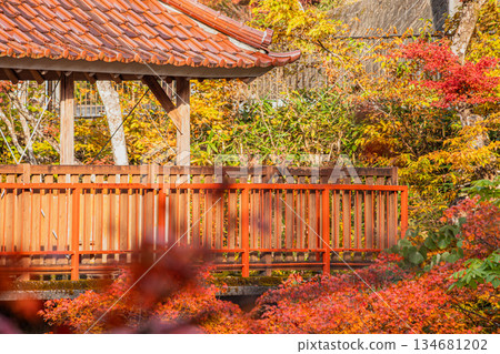 Scenery of Oihira Park in Toyota City (Aichi Prefecture) Scenery of Oihira Park in Toyota City (Aichi Prefecture) 134681202