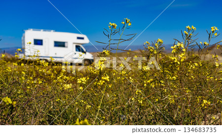 Yellow field and caravan camping Yellow field and caravan camping 134683735