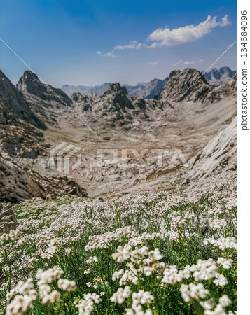 Landscape with Rugged Beauty of Albanian Alps Landscape with Rugged Beauty of Albanian Alps 134684096