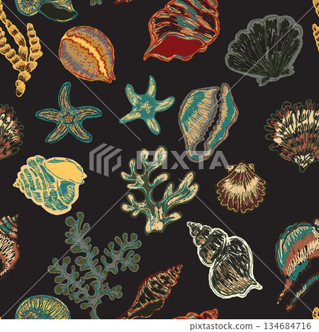 seamless pattern with shells 134684716