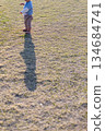 陽光下，孩子們的腳走在草地上（垂直圖） 134684741