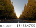 Outside tree lined trees 134684755