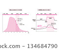 Simple graph for designers - Female hormone secretion levels - Menstrual cycle and changes in female hormones 134684790