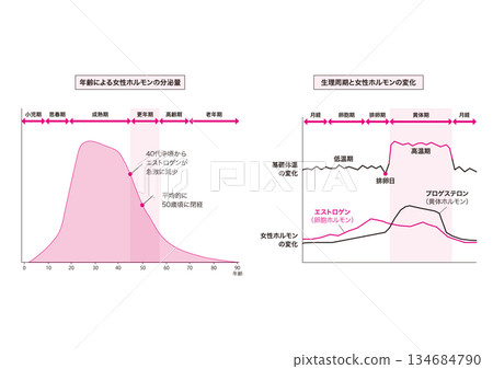 Simple graph for designers - Female hormone secretion levels - Menstrual cycle and changes in female hormones 134684790