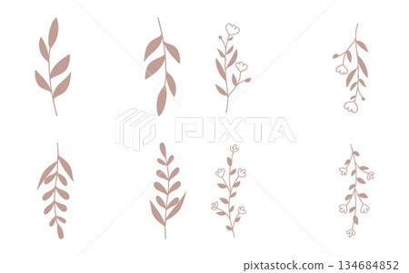 Sepia hand drawn leaf frames set. 134684852