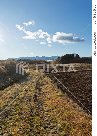 Early winter morning: rural scenery in northern Kanto 134685619