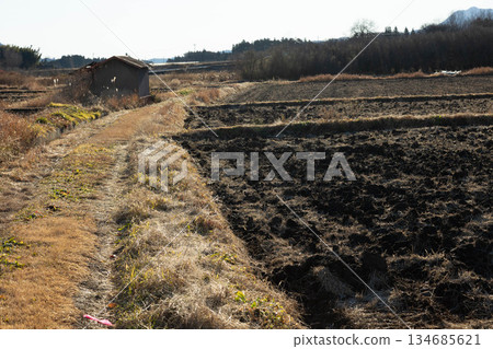 Early winter morning: rural scenery in northern Kanto Early winter morning: rural scenery in northern Kanto 134685621