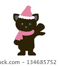 粉紅聖誕老人的聖誕貓 134685752