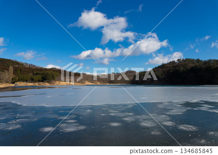 Lake Shidaka and birds in winter (Lake Shidaka, Beppu City, Oita Prefecture) 134685845