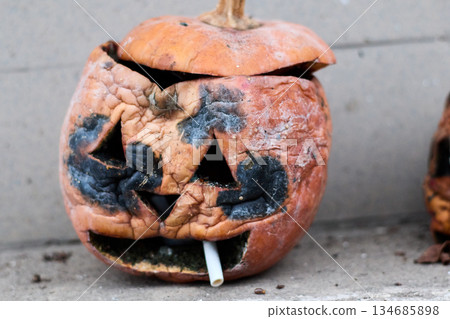 Decayed Jack-o'-Lantern: Close-up Shot of Mold, Wrinkles, and Cigarette. Decayed Jack-o'-Lantern: Close-up Shot of Mold, Wrinkles, and Cigarette. 134685898