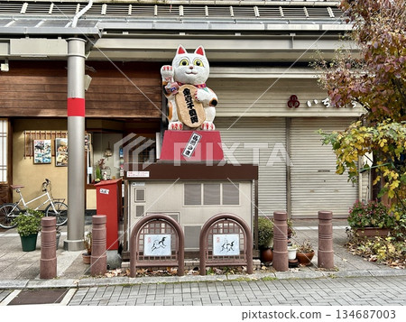 飛鎢高山馬頭 飛鎢高山馬頭 134687003