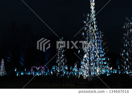 冬夜照明 134687018