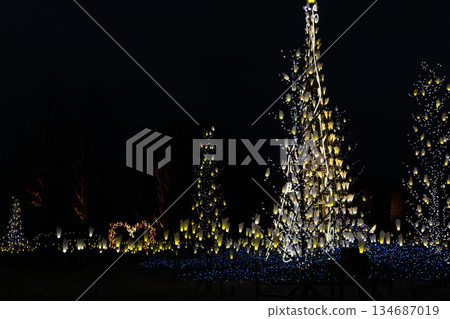 winter night illumination 134687019